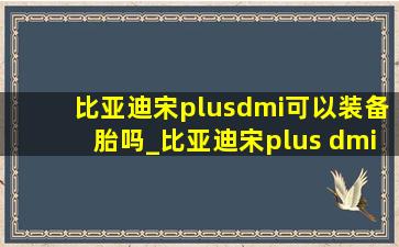 比亚迪宋plusdmi可以装备胎吗_比亚迪宋plus dmi有地方放备胎吗